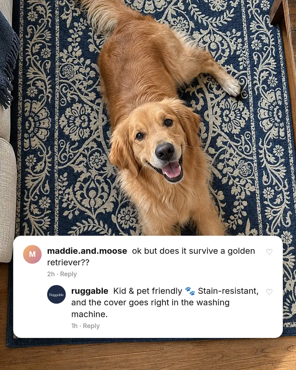 Static ad design featuring Ruggable Delphina rug with dog