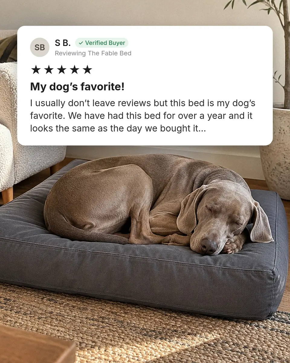 Static ad design featuring Fable The Fable Bed
