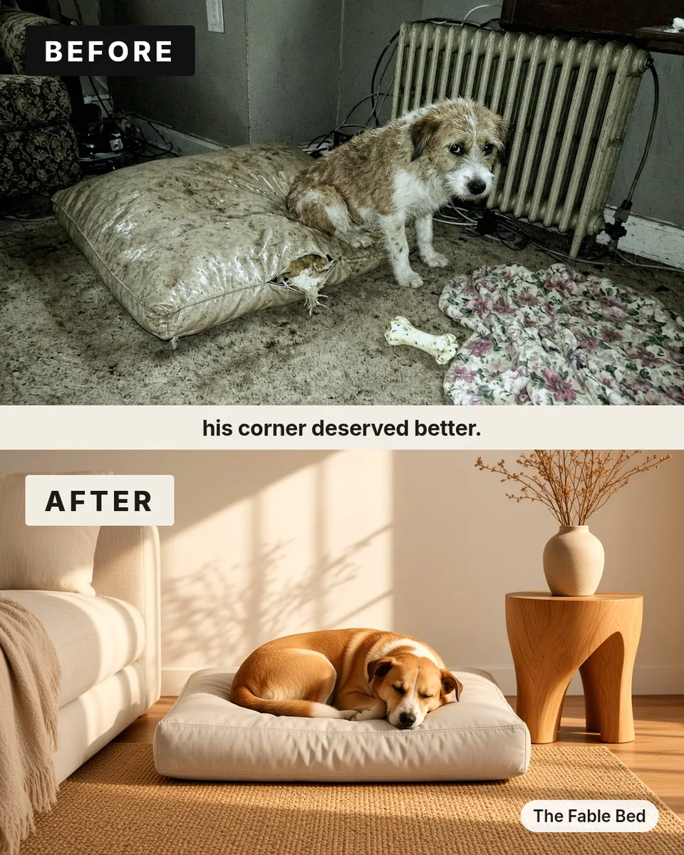 Static ad design featuring Fable The Fable Bed before and after