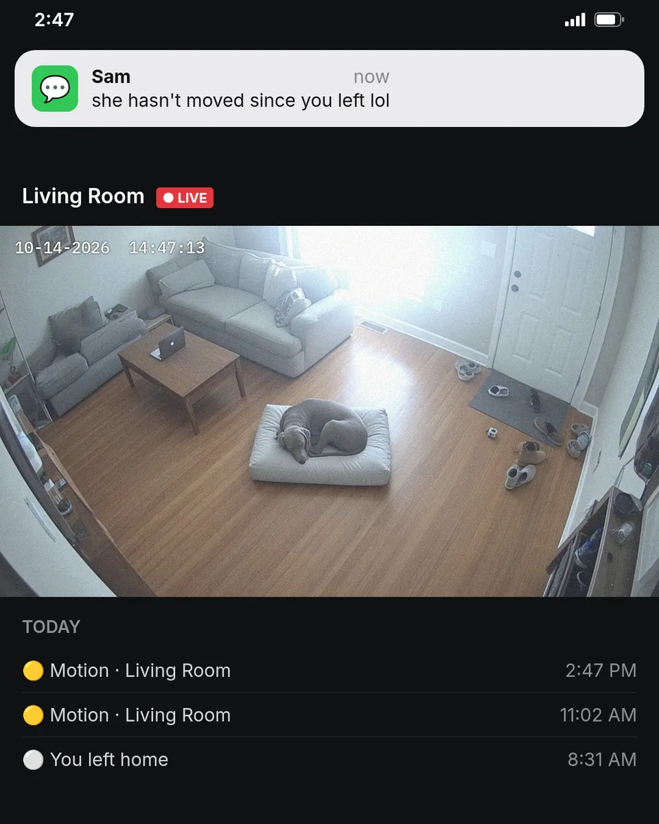 Static ad design featuring Fable The Fable Bed pet-cam screenshot