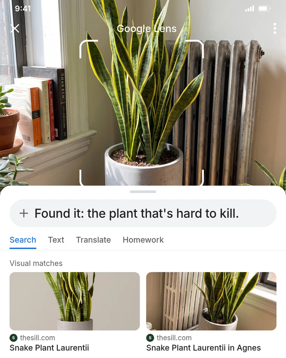 Static ad design featuring The Sill snake plant visual search result